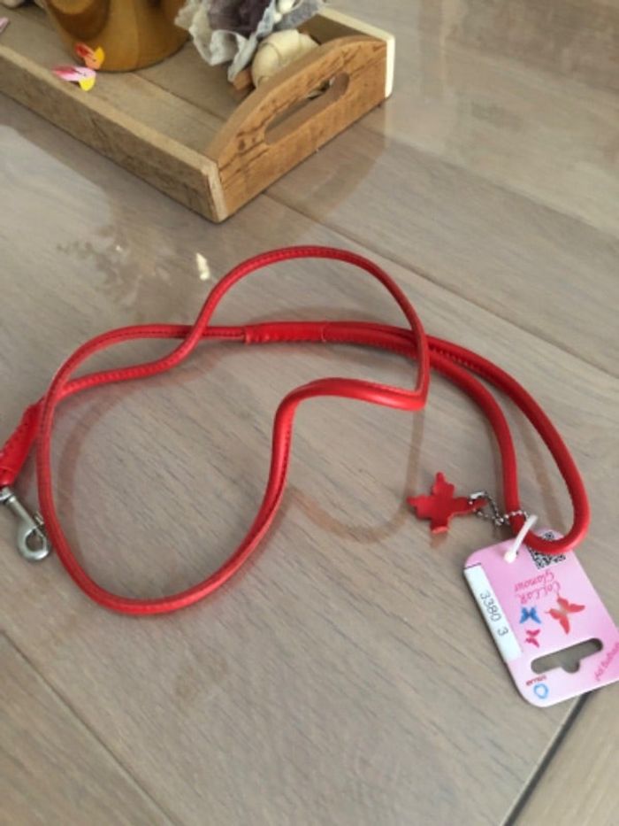 Ensemble laisse et collier neuf