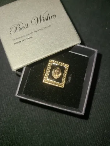 Chevaliere lion