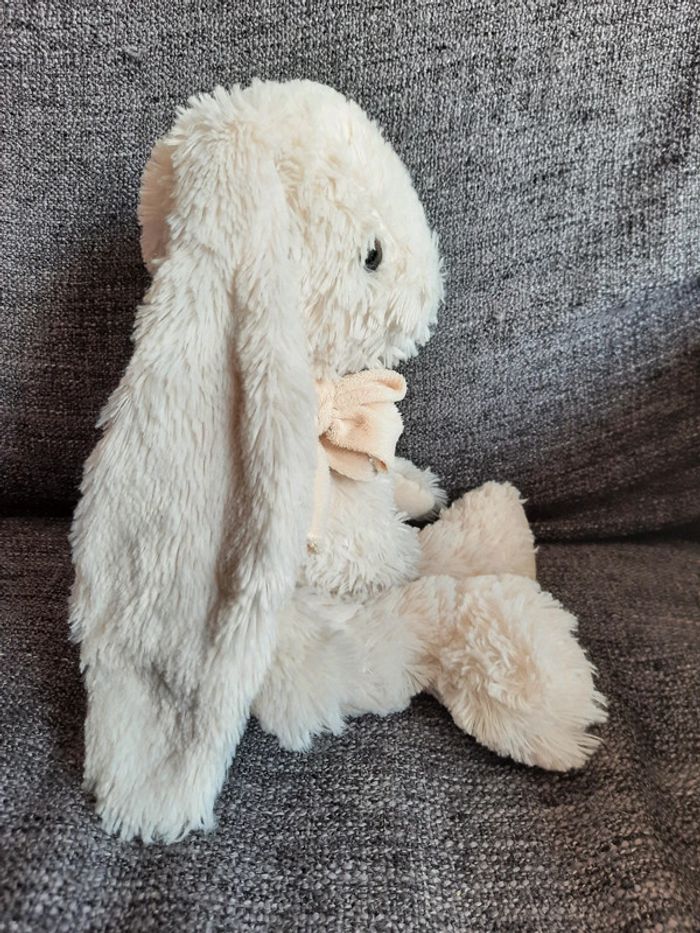 Lapin André bukowski - photo numéro 4