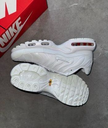 Tn blanche nike basket