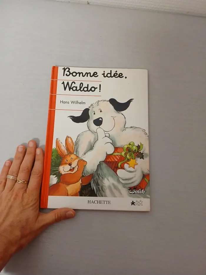 Bonne idée, waldo - photo numéro 2