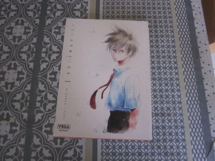 Manga - Cicatrices tome 1