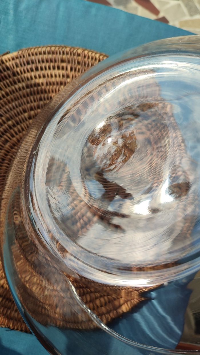 Plat coupelle en verre - photo numéro 3