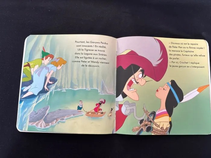 Livre Peter Pan - photo numéro 2