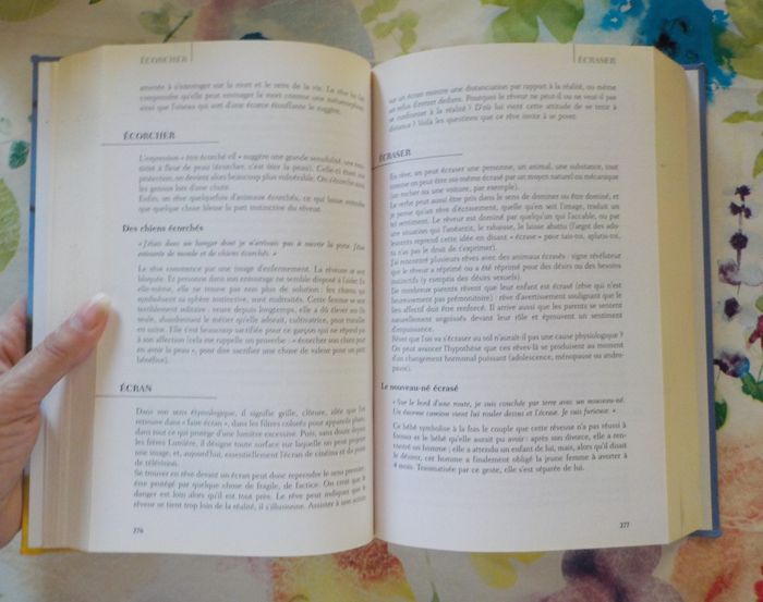 Dictionnaire des rêves par Hélène RENARD Ed. France Loisirs - photo numéro 9