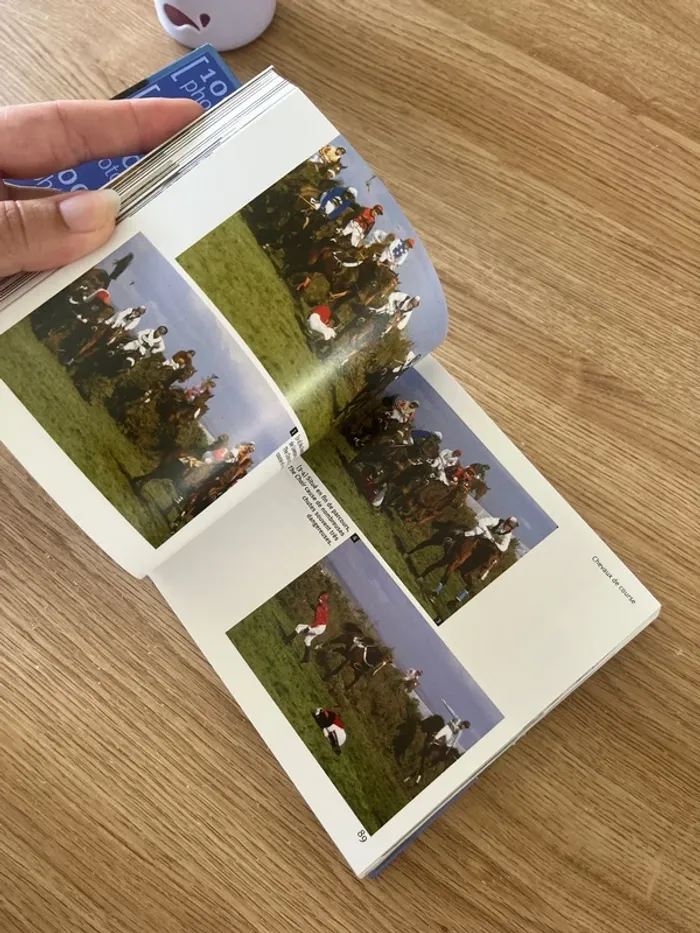 Les chevaux - photo numéro 3