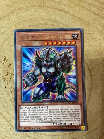 Carte Yu-Gi-Oh! : Dinolutteur Pancraceratops - ANGU-FR046