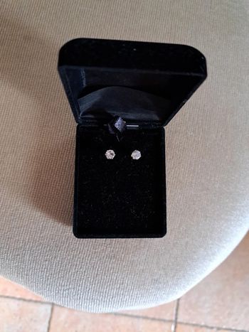 Clou d'oreilles
