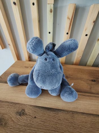 Paco l ane bleu marine noukie's