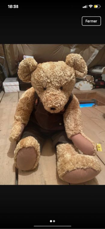 Ours de collection Sunkid