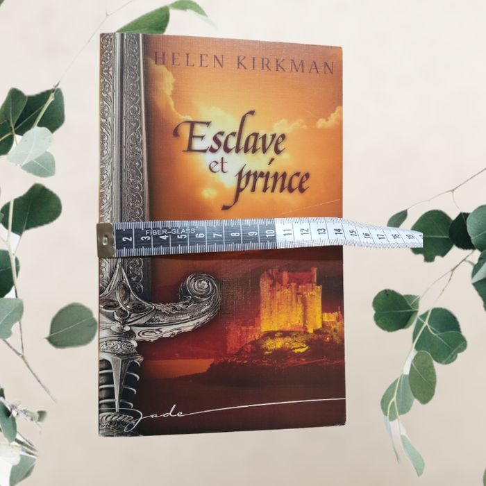 Livre de Hélén Kirkman - esclave et prince - photo numéro 3
