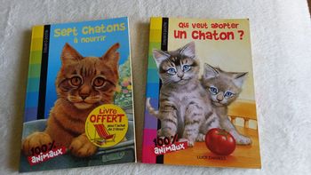 Les chatons