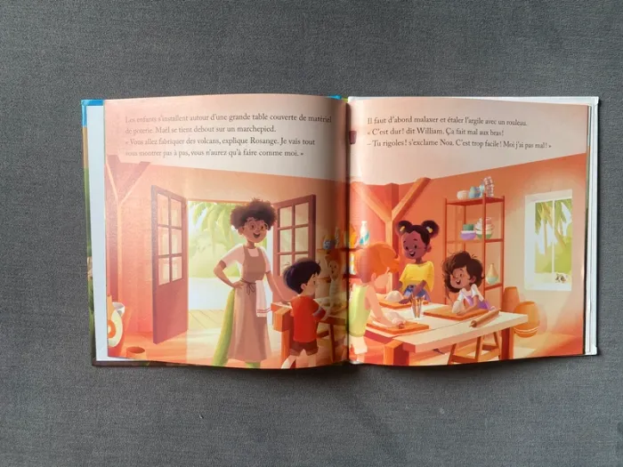 Livre McDonald's le volcan de la soufrière virginie grimaldi - photo numéro 3