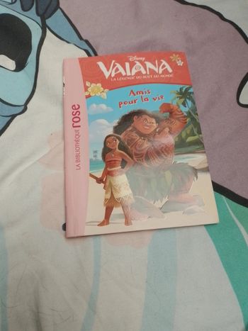 . Vaiana la légende du bout du monde amis pour la vie