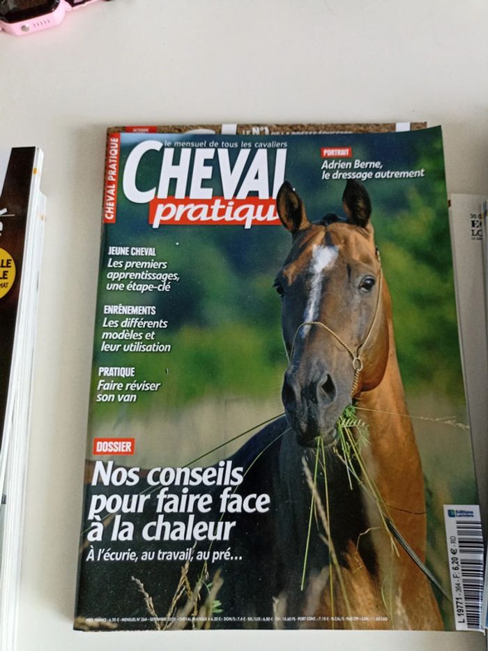 Cheval pratique - photo numéro 9