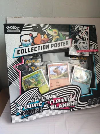 Coffret Poster 10.5 Foudre noir et flamme blanche