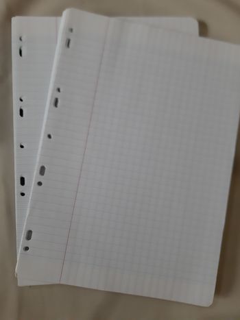 100 feuillets mobiles (feuilles simples) A4 grands carreaux  perforées