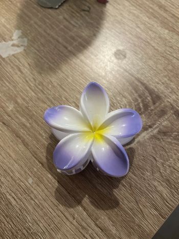 Pinces à cheveux