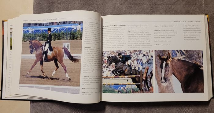 Le Monde fascinant des chevaux Magali Guenette - photo numéro 4