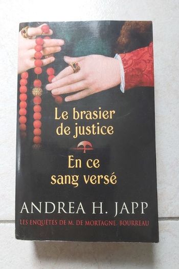 Roman Le brasier de justice