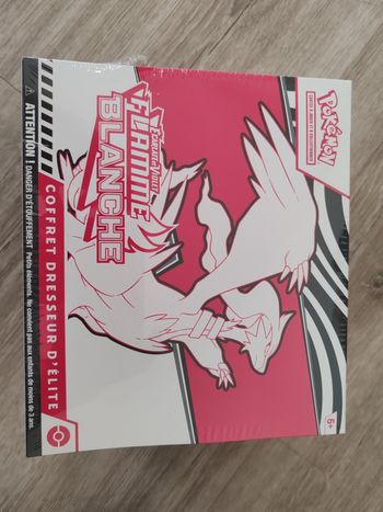 Etb ev10.5 flamme blanche avec default de scellage