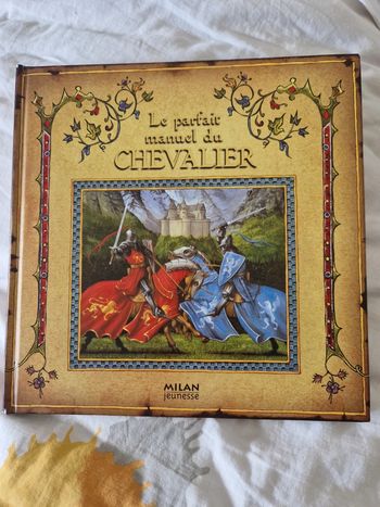 Livre le parfait manuel du chevalier
