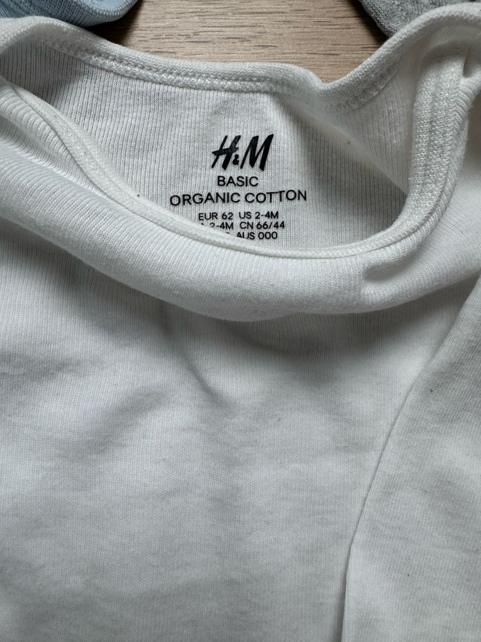 Lot de 5 bodies - photo numéro 3