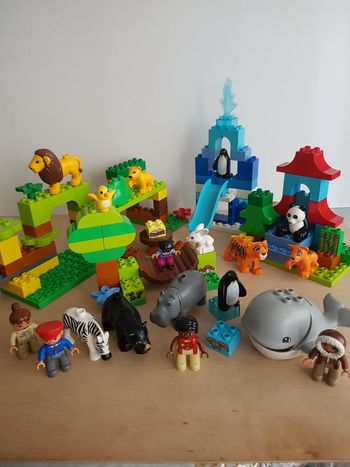 Lego Duplo wildlife Le tour du monde 10805 jeu de construction parc zoologique