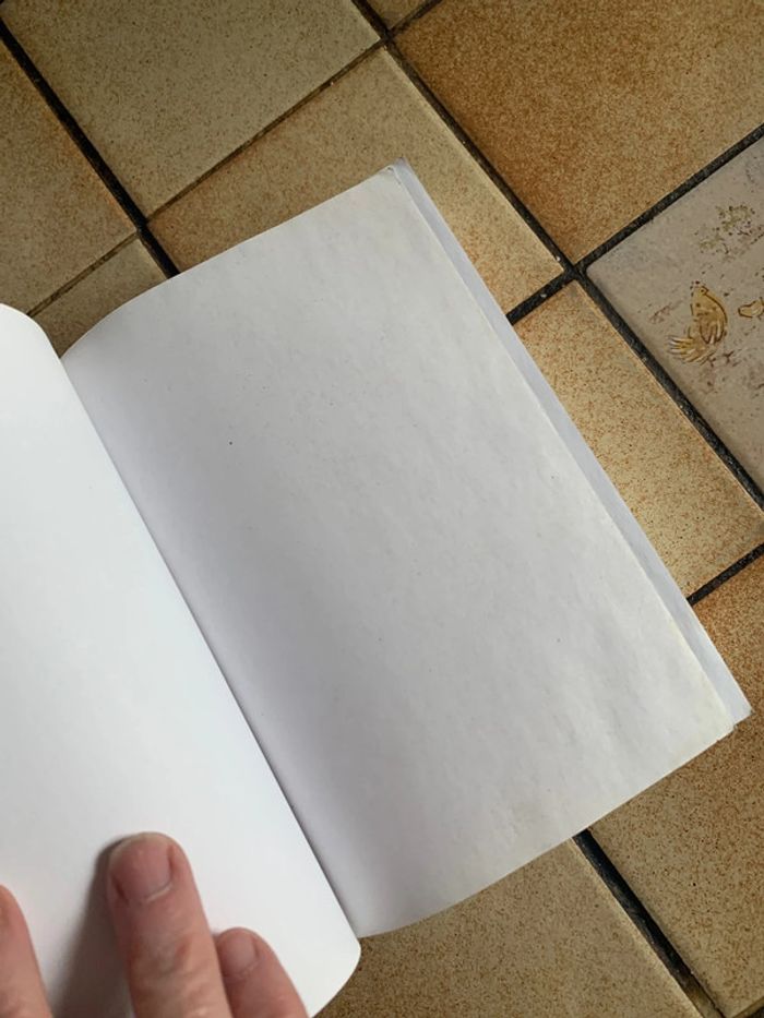 L aîné - photo numéro 5