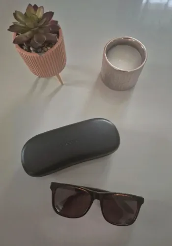 Lunettes de soleil Carrera homme – monture marron + étui