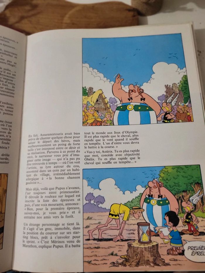 Bd livre "Les 12 travaux d'Asterix" Dargaud - photo numéro 10