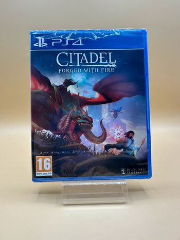 Citadel Forged With Fire Ps4