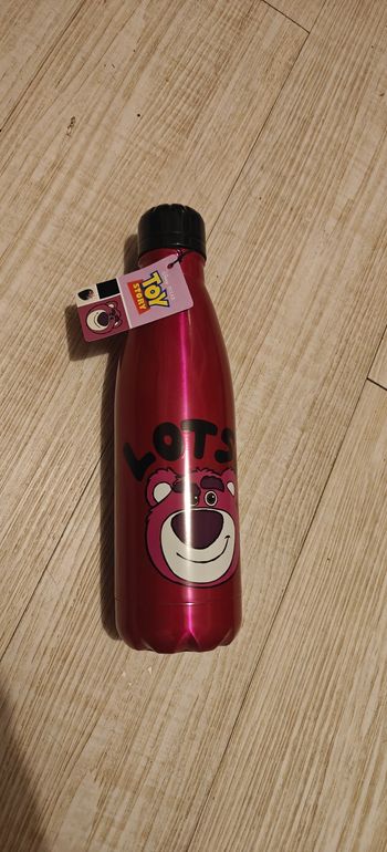 Gourde Isotherme Lotso 