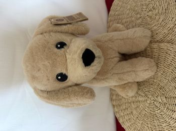 Peluche chien beige MAX AND SAX