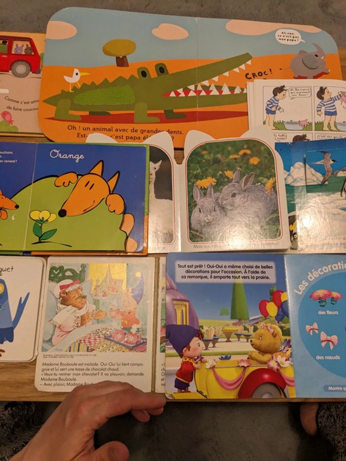 Lot 9 livres - photo numéro 11