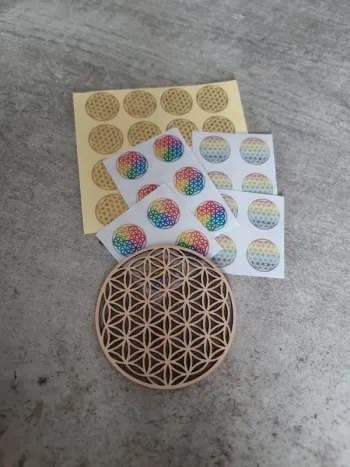 Lot de fleurs de vie