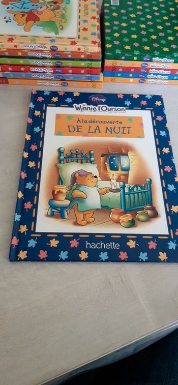 Livre Winnie l'ourson