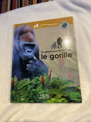 Un géant sous les arbres, le gorille atlas junior