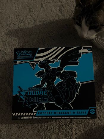 etb foudre noir