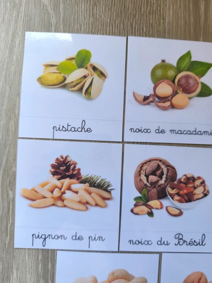Cartes de nomenclature des noix comestibles - photo numéro 2