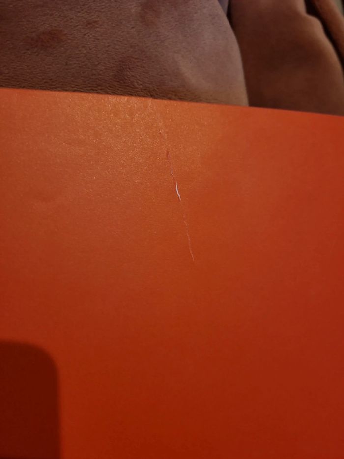 Livre Dokéo+ Réalité Augmentée : Les Dinosaures en action (43) - photo numéro 10