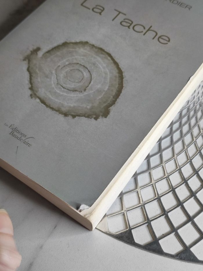 La tâche - photo numéro 3