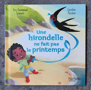Roman Jeunesse "Une Hirondelle ne fait pas le Printemps" - Coll. Un Jour Un Dicton (4-6 ans) / Hachette