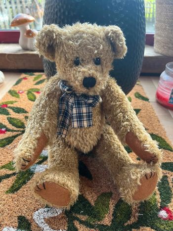 Ours en peluche teddybear Heartfelt collectibles
