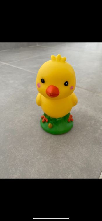 Jouet Poussin 🐥