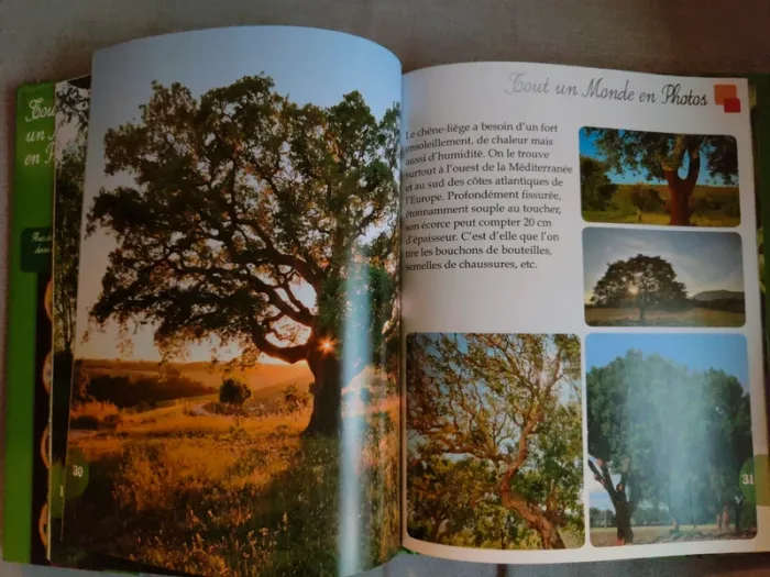 Livre Les arbres Piccolia Tout un monde en photos - photo numéro 4