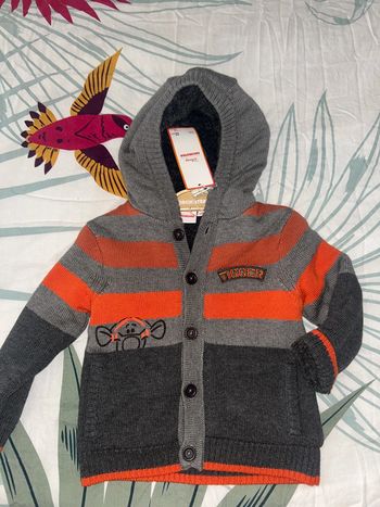 Gilet à boutons polaire tigrou disney baby Disneyland orchestra