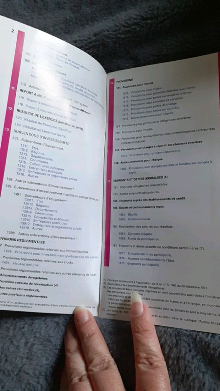 Plan comptable hôtelier - photo numéro 3