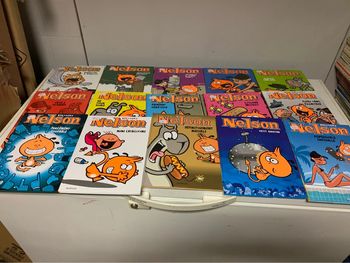 Lot de 15 bd nelson de bertschy