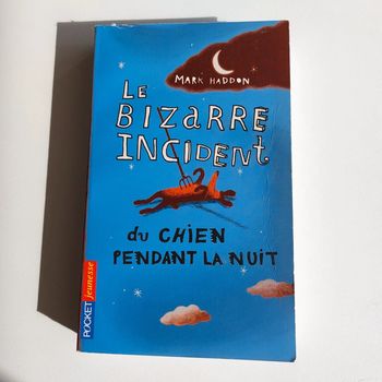 Livre - Le bizarre accident du chien pendant la nuit